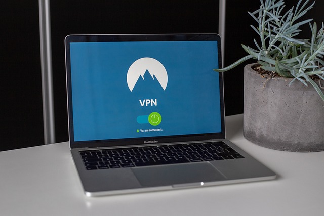 Wifi hos Starlink for begyndere